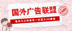 外面收费1980最新国外LEAD广告联盟搬砖项目，单号一天至少30美元(详细教程)-课界网