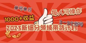 2023新细分领域带货计划：单号单日1000+收益不难，每人可操作3-5个账号-课界网