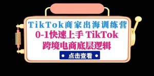 TikTok商家出海训练营：0-1快速上手 TikTok跨境电商底层逻辑(无水印)-课界网