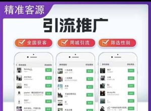 微信简单易上手引流方法，无门槛 小白即可操作 日引流300+【详细玩法教程】-课界网