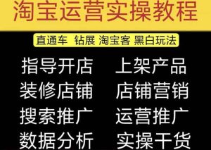 2023淘宝开店教程0基础到高级全套视频网店电商运营培训教学课程（2月更新）-课界网