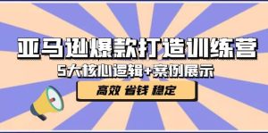 亚马逊爆款打造训练营：5大核心逻辑+案例展示 打造爆款链接 高效 省钱 稳定-课界网