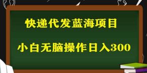 2023最新蓝海快递代发项目，小白零成本照抄-课界网