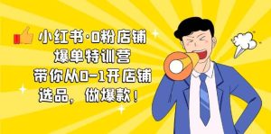 小红书·0粉店铺爆单特训营 带你从0-1开店铺，选品，做爆款（课程+工具包）-课界网