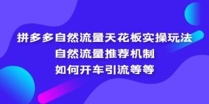 拼多多自然流量天花板实操玩法：自然流量推荐机制，如何开车引流等等-课界网