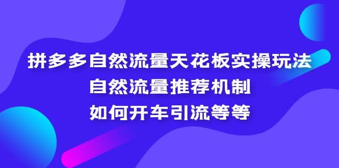 拼多多自然流量天花板实操玩法：自然流量推荐机制，如何开车引流等等-课界网
