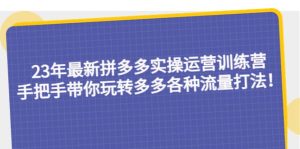23年最新拼多多实操运营训练营:手把手带你玩转多多各种流量打法!-课界网