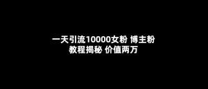 一天引流10000女粉，博主粉教程揭秘（价值两万）-课界网