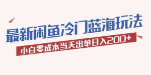 2023最新闲鱼冷门蓝海玩法，小白零成本当天出单日入200+-课界网