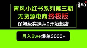 小红书无货源电商爆单终极版【视频教程+实战手册】保姆级实操从0起店爆单-课界网