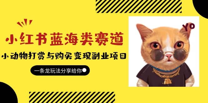小红书蓝海类赛道：小动物打赏与购买变现副业项目，一条龙玩法分享给你-课界网