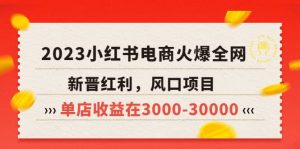 2023小红书电商火爆全网，新晋红利，风口项目，单店收益在3000-30000-课界网