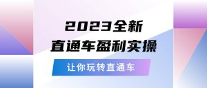 2023全新直通车·盈利实操：从底层，策略到搭建，让你玩转直通车-课界网