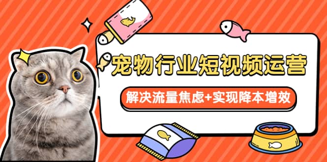 宠物/行业短视频运营 流量增长的一层窗户纸 解决流量焦虑+实现降本增效-课界网