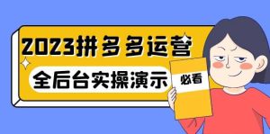 2023拼多多·运营：14节干货实战课，拒绝-口嗨，全后台实操演示-课界网