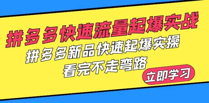 拼多多-快速流量起爆实战，拼多多新品快速起爆实操，看完不走弯路-课界网