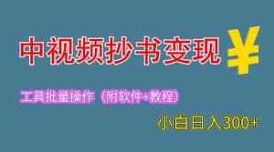 2023中视频抄书变现（附工具+教程），一天300+，特别适合新手操作的副业-课界网