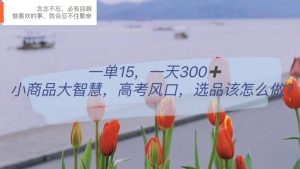 一单15，一天300+，小商品大智慧，高考风口，选品该怎么布局-课界网