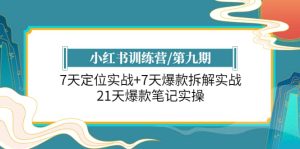 小红书训练营/第九期：7天定位实战+7天爆款拆解实战，21天爆款笔记实操-课界网