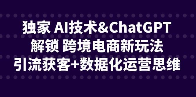 独家 AI技术ChatGPT解锁 跨境电商新玩法，引流获客+数据化运营思维-课界网