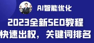 2023最新网站AI智能优化SEO教程，简单快速出权重，AI自动写文章+AI绘画配图-课界网