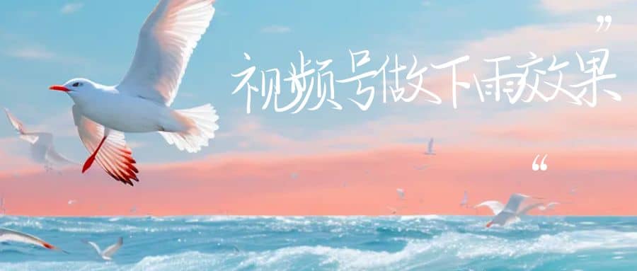 视频号做下雨视频一个账号一周涨粉10W+年入100w-课界网