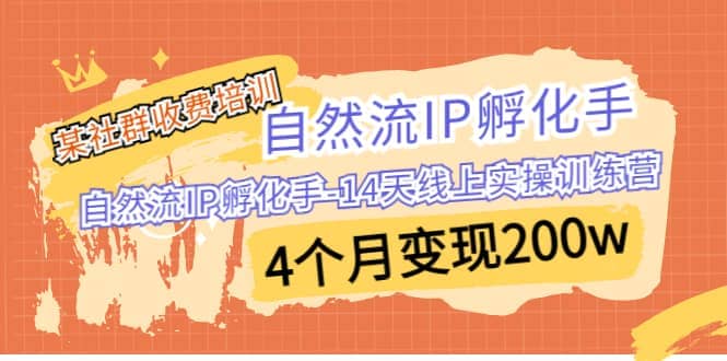 某社群收费培训：自然流IP 孵化手-14天线上实操训练营 4个月变现200w-课界网