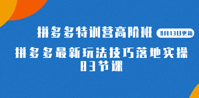 2023拼多多·特训营高阶班【9月13日更新】拼多多最新玩法技巧落地实操-83节-课界网