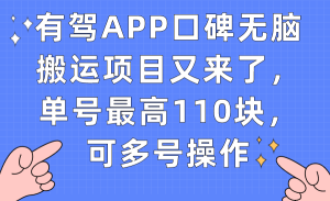 有驾APP口碑无脑搬运项目又来了，单号最高110块，可多号操作-课界网
