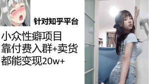 知乎小众性癖项目，Lsp的钱才是最好赚的，付费建群+卖货变现20w-课界网