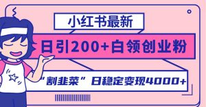 小红书最新日引200+创业粉”割韭菜“日稳定变现4000+实操教程！-课界网