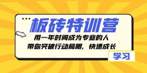板砖特训营，用一年时间成为专业的人，带你突破行动局限，快速成长-课界网