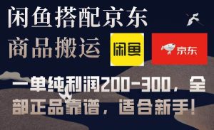 闲鱼搭配京东备份库搬运，一单纯利润200-300，全部正品靠谱，适合新手！-课界网