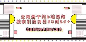 全网最干的b站视频独家引流日引50到80+流量视频很长请耐心看完-课界网