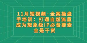 11月短视频·全案操盘手培训：打通自然流量 成为想象级IP必备要素 全是干货-课界网