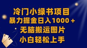 【全网首发】冷门小绿书暴力掘金日入1000＋，无脑搬运图片小白轻松上手-课界网