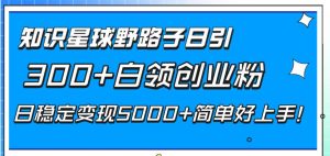 知识星球野路子日引300+白领创业粉，日稳定变现5000+简单好上手！-课界网
