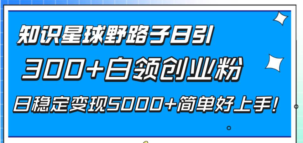 知识星球野路子日引300+白领创业粉，日稳定变现5000+简单好上手！-课界网