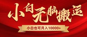 无脑搬运视频，全新平台独占玩法，一个账号每天1000+，多账号轻松扩张！-课界网