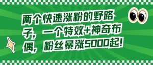 两个快速涨粉的野路子，一个特效+神奇布偶，粉丝暴涨5000起！-课界网
