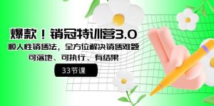 爆款！销冠特训营3.0之顺人性销售法，全方位解决销售难题、可落地、可执行、有结果-课界网