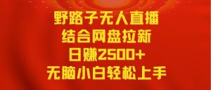 无人直播野路子结合网盘拉新，日赚2500+多平台变现，小白无脑轻松上手操作-课界网