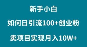 新手小白如何通过卖项目实现月入10W+-课界网