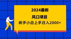 2024最新风口项目 新手小白日入2000+-课界网