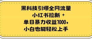 黑科技引爆全网流量小红书拉新，单日暴力收益7000+，小白也能轻松上手-课界网