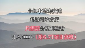 小红书短剧赛道，私域引流交易，会复制粘贴，日入500+（附6.7T短剧资源）-课界网
