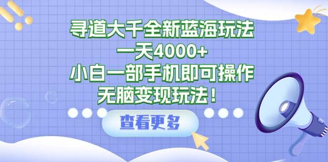 寻道大千全新蓝海玩法，一天4000+，小白一部手机即可操作，无脑变现玩法！-课界网