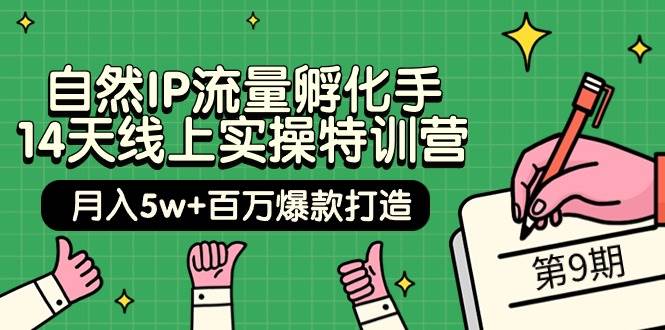 自然IP流量孵化手 14天线上实操特训营【第9期】月入5w+百万爆款打造 (74节)-课界网