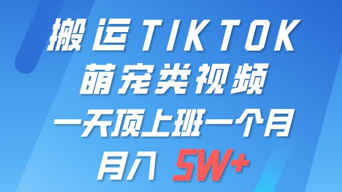 一键搬运TIKTOK萌宠类视频 一部手机即可操作 所有平台均可发布 轻松月入5W+-课界网