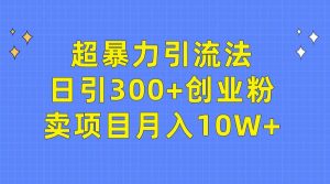 超暴力引流法，日引300+创业粉，卖项目月入10W+-课界网